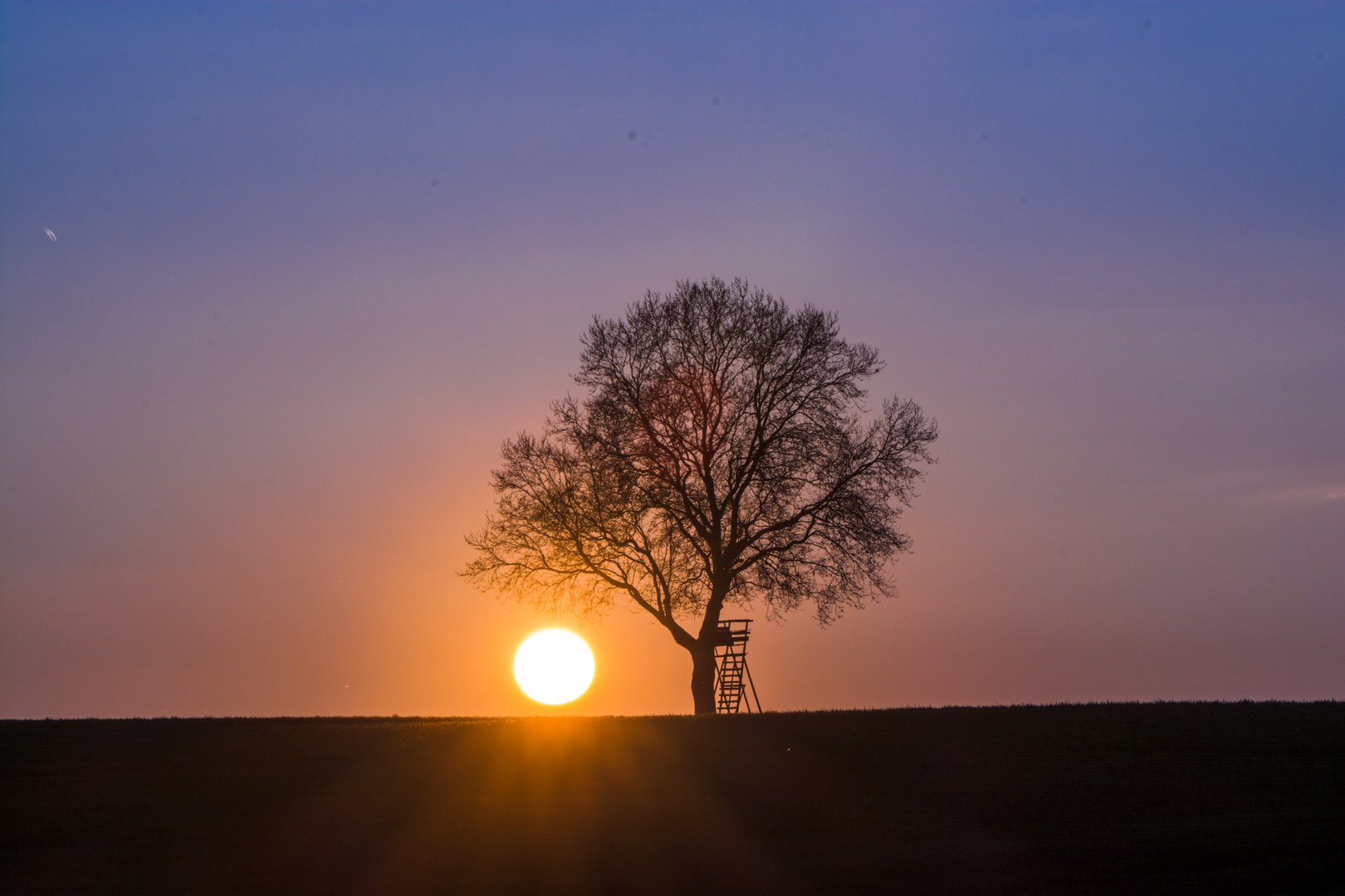 Am Ende des Tages an meinem Lieblingsbaum