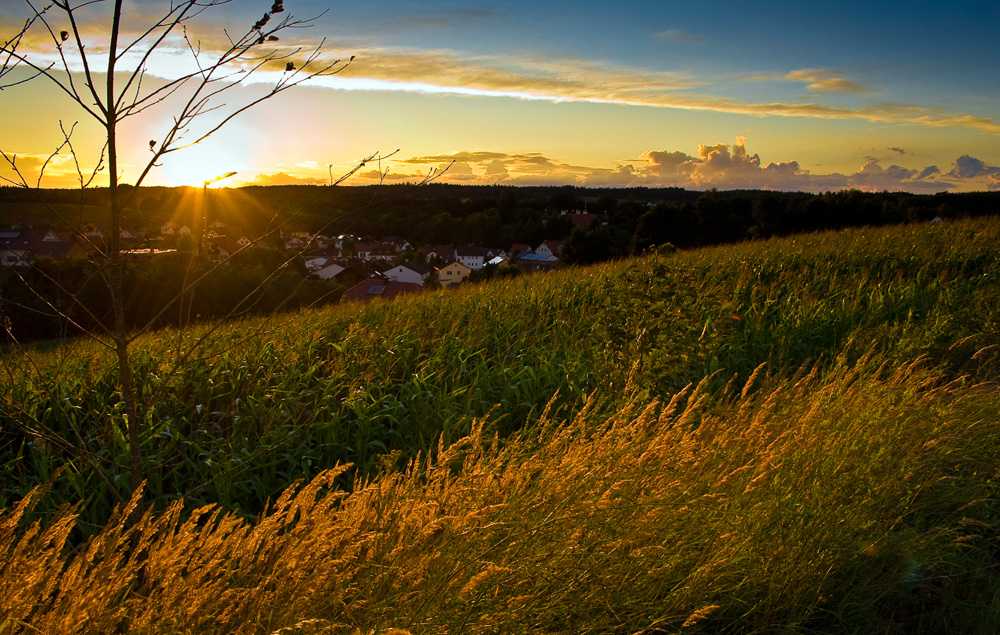 Am Ende des Tages