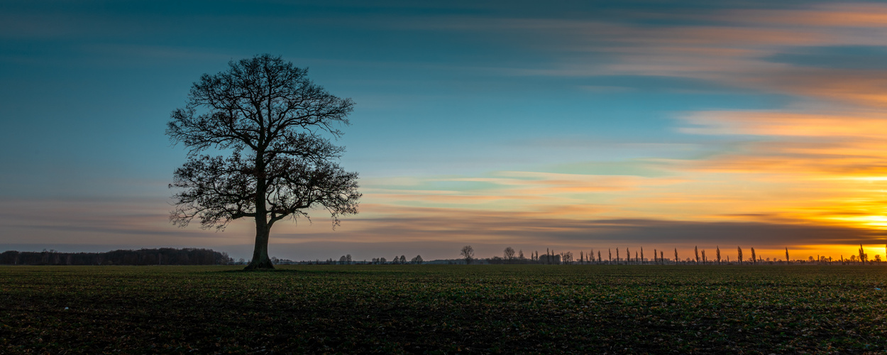 Am Ende des Tages kommt die Stille