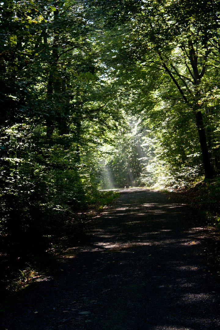 Am Ende des Tunnels