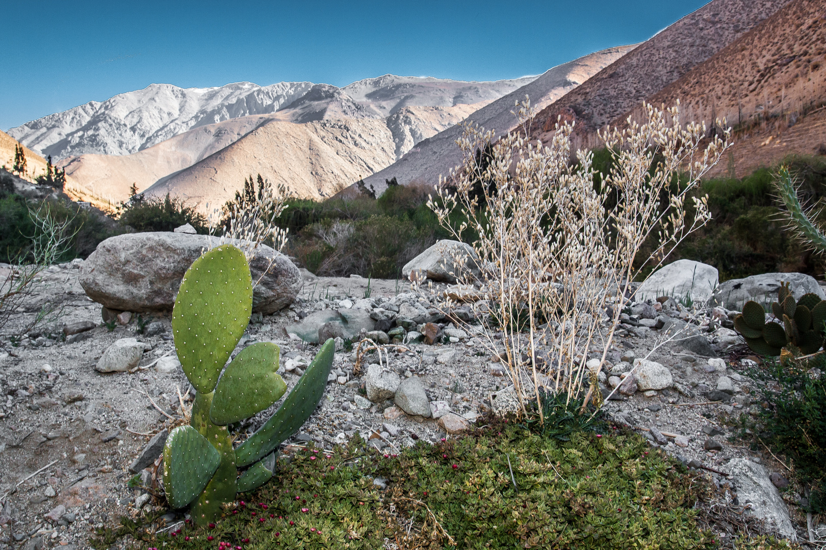 Am Ende des "Valle del Elqui", Chile