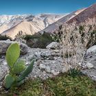 Am Ende des "Valle del Elqui", Chile