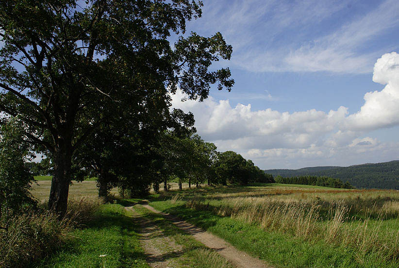 Am Ende des Weges......