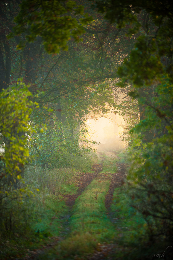 Am Ende des Weges