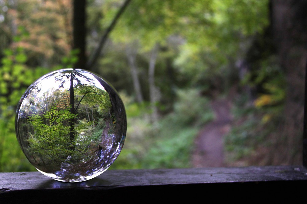 Am Ende des Weges beginnt die Wildnis