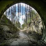 Am Ende des....Tunnelblick