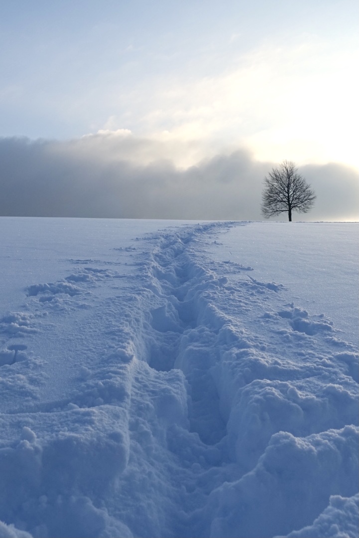 Am Ende ein Ziel im Winterwonderland