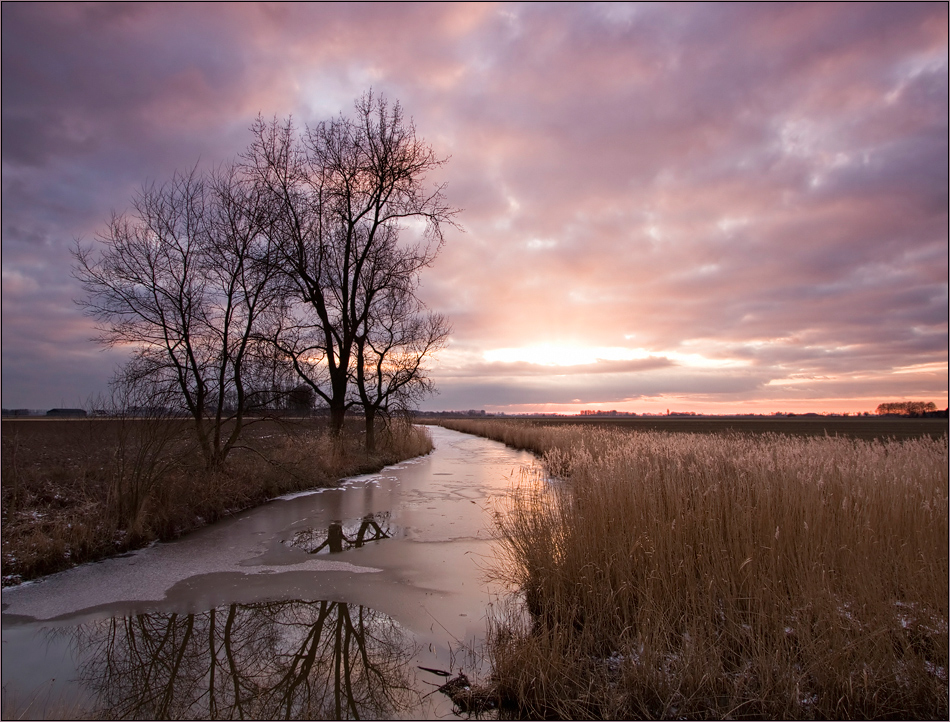 Am Ende eines grauen Wintertages