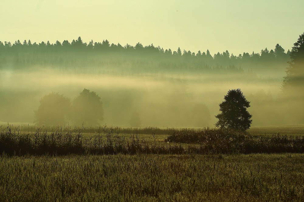 Am Ende eines heißen Sommers