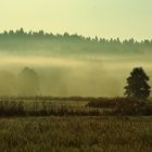 Am Ende eines heißen Sommers