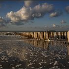 Am Ende eines langen Strandspazierganges ...