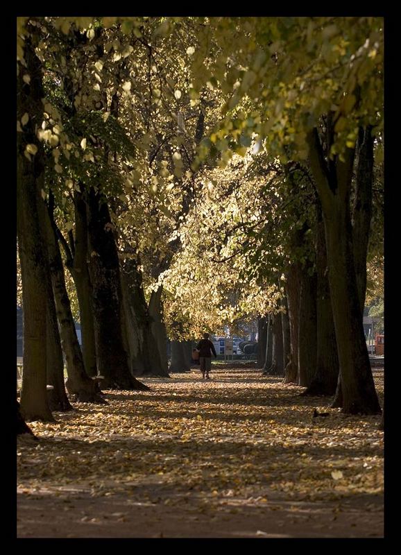 Am Ende eines langen Weges