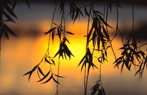 am ende eines sommers