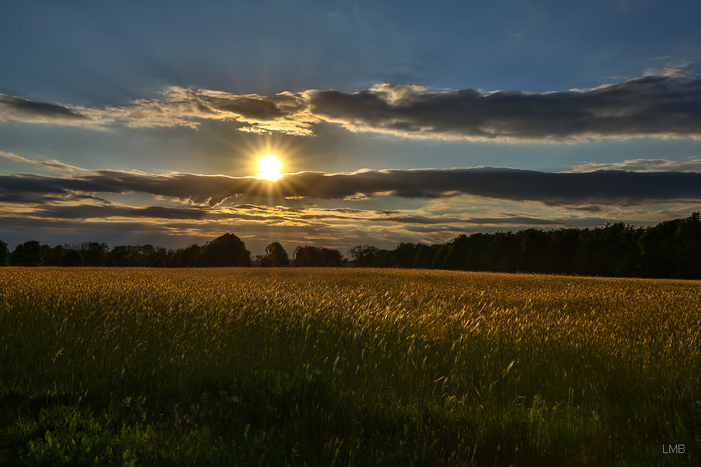 Am Ende eines Tages