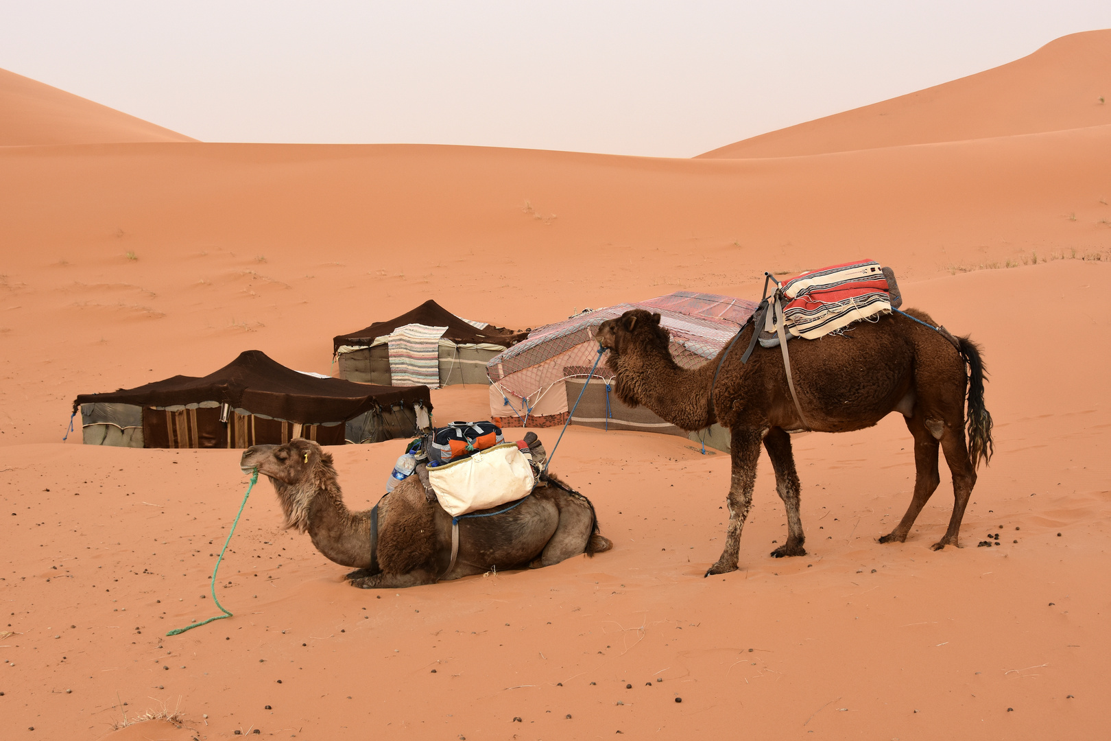 Am Ende eines Trekkingtages im Erg Chebbi