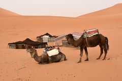 Am Ende eines Trekkingtages im Erg Chebbi