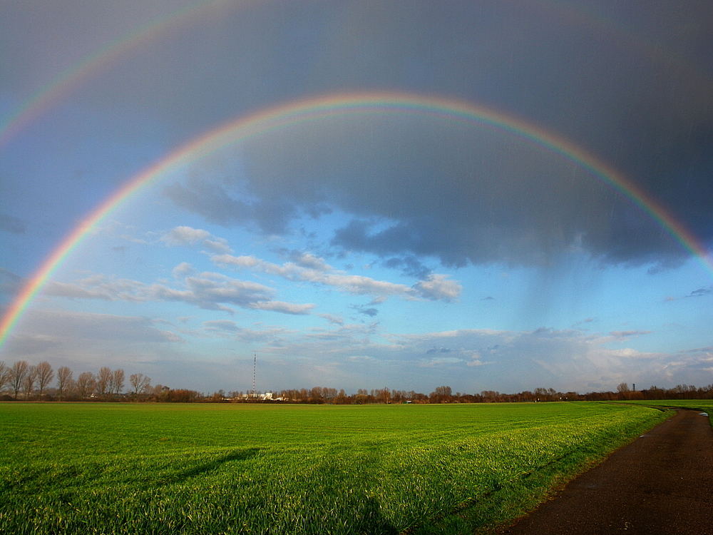 Am Ende liegt der ....