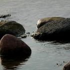 am ende versinken wir ,wie ein stein in einsamkeit