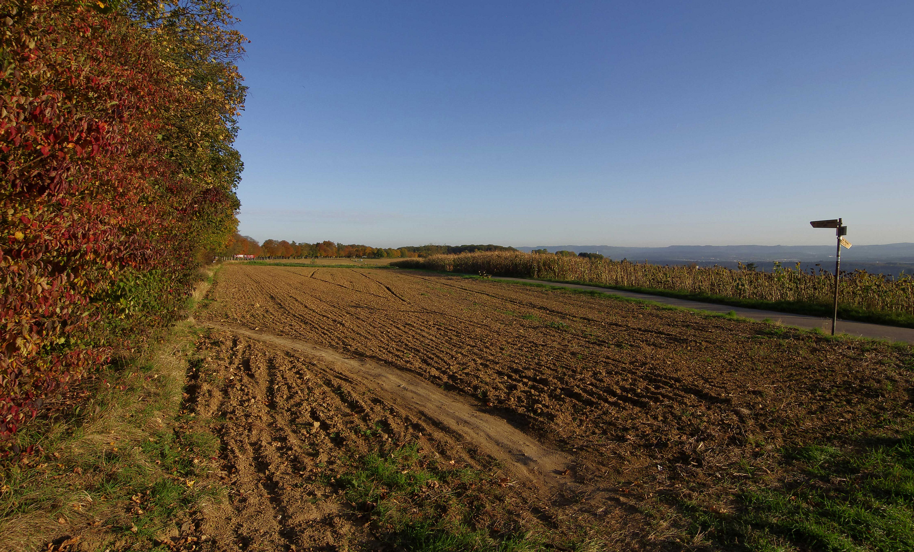 ...am Ende vom Panoramaweg