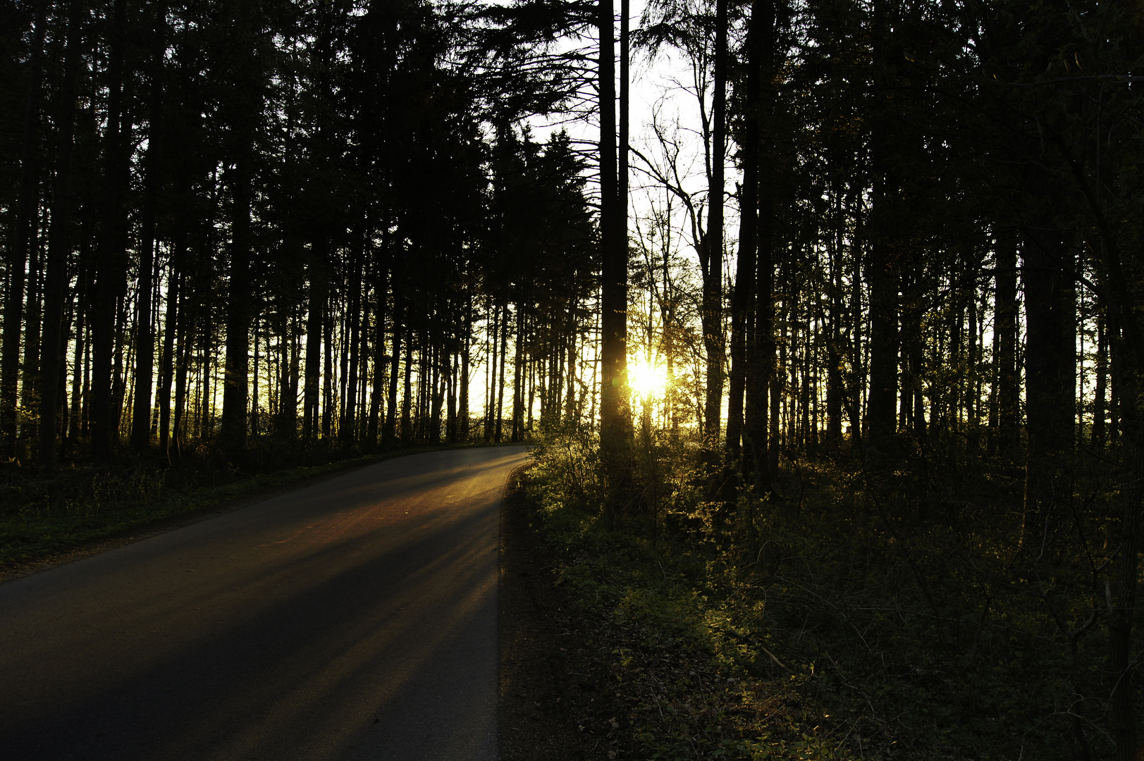 Am Ende war das Licht