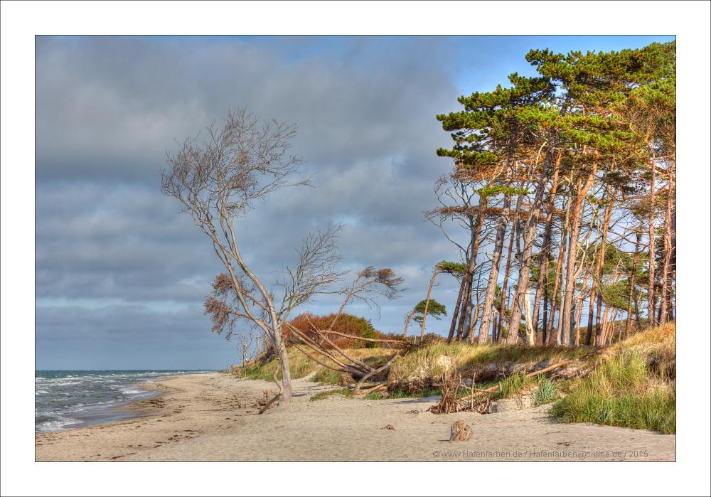 Am Ende weicht der Wald