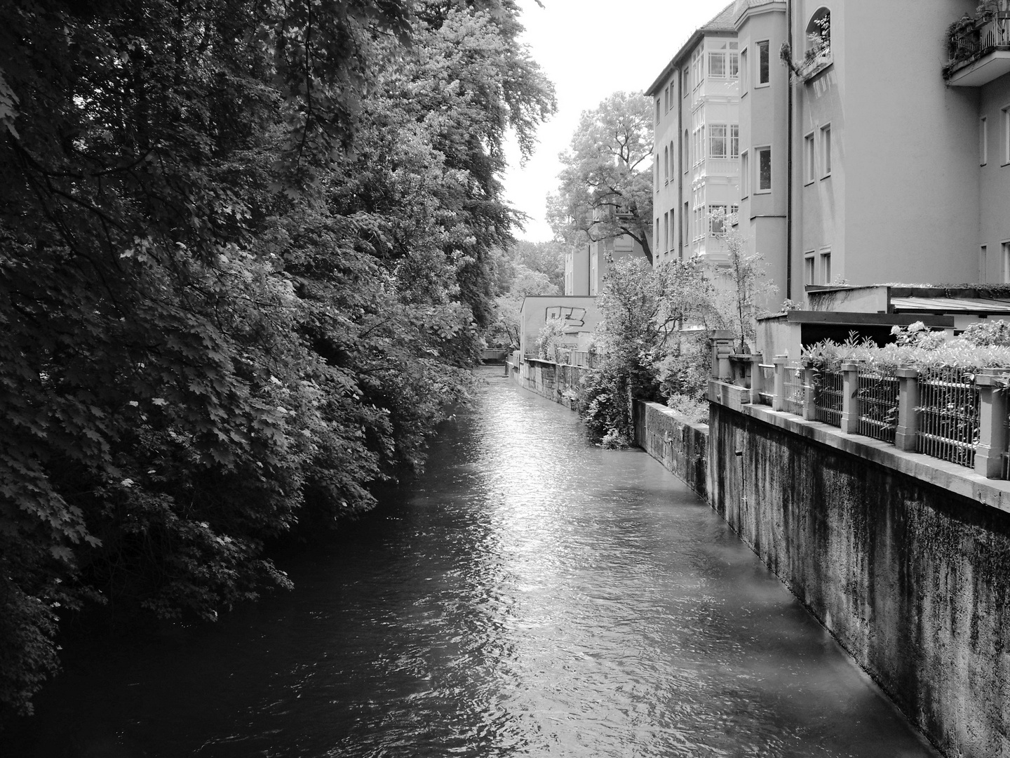 ...am Englischen Garten