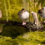 Am Ente des Tages