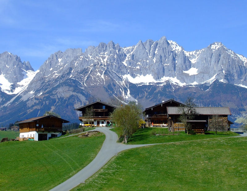 Am Erber Kreuz mit Wildem Kaiser