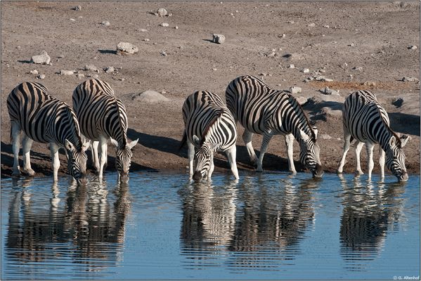 ...am erfrischenden Nass