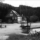 Am Erlaufsee /Steiermark/Mariazellerland