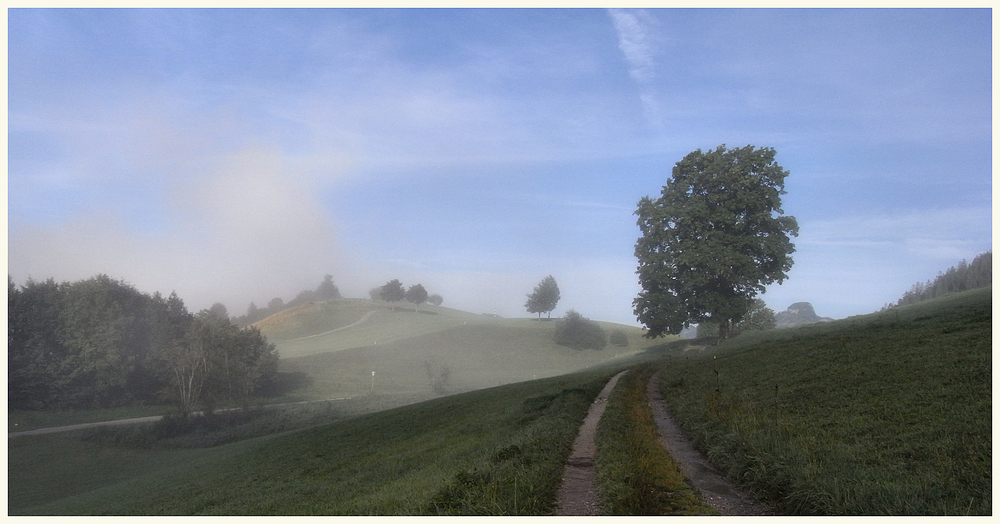 Am ersten Morgen