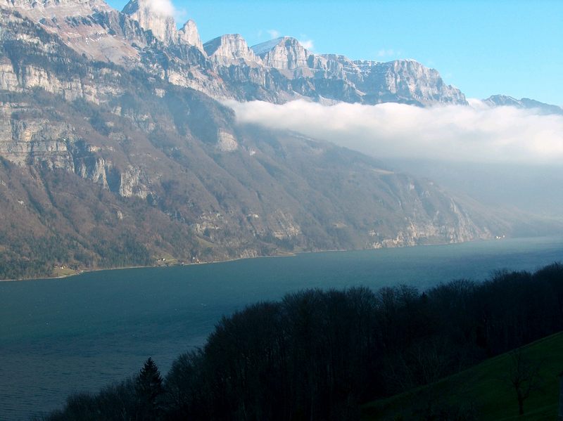 Am ersten Wintermorgen ein Tannen Ast als Weihnachstsbaum suchen