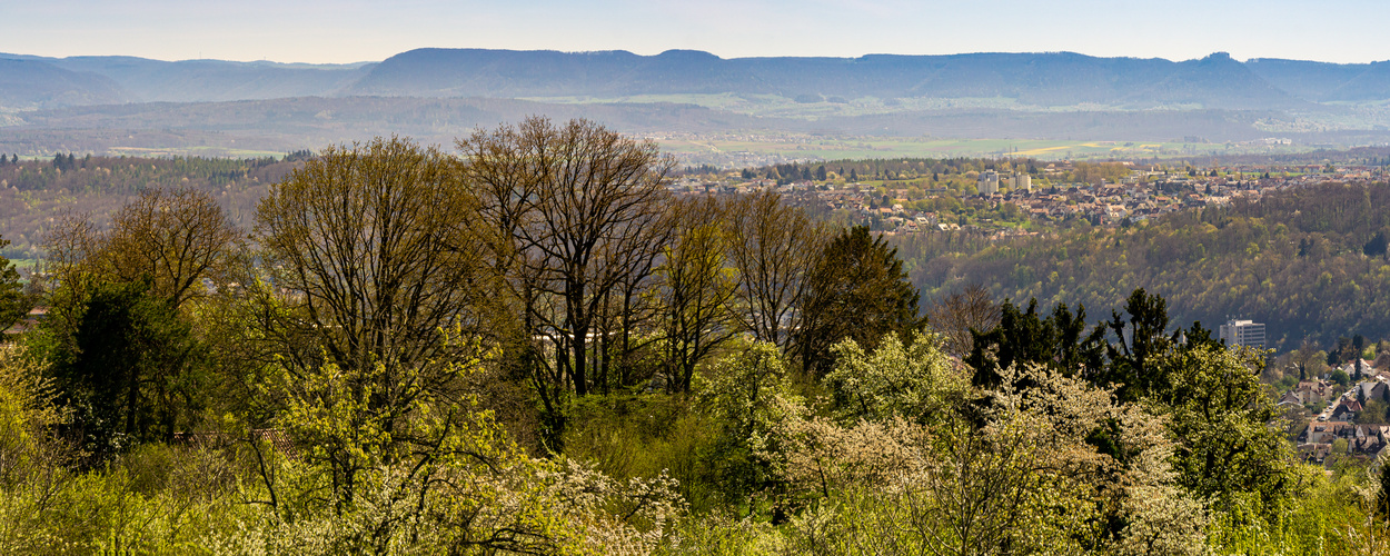 Am Esslinger Höhenweg