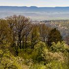 Am Esslinger Höhenweg