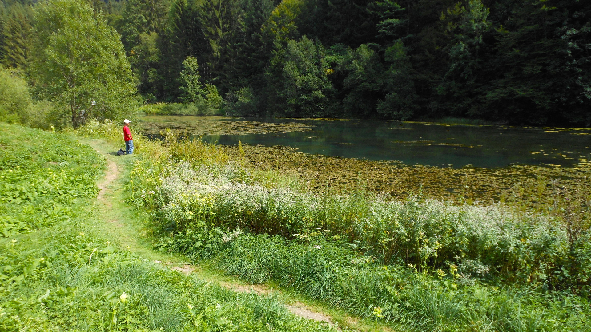 Am Etang de Bollement im schweizerischen Jura