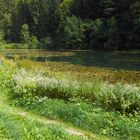 Am Etang de Bollement im schweizerischen Jura