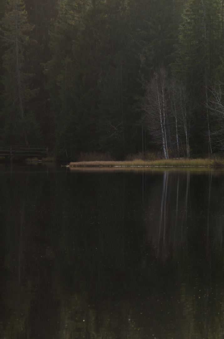 Am Etang de Gruère