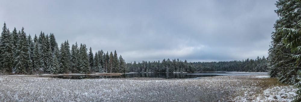 Am Etang de la Gruère