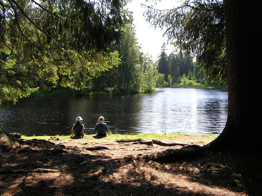 Am Etang de la Gruère