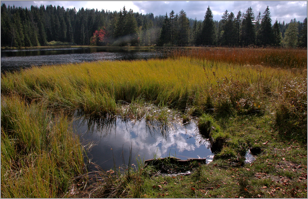 am Etang de la Gruère lässt sich die Seele gut baumeln lassen...