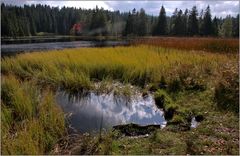 am Etang de la Gruère lässt sich die Seele gut baumeln lassen...