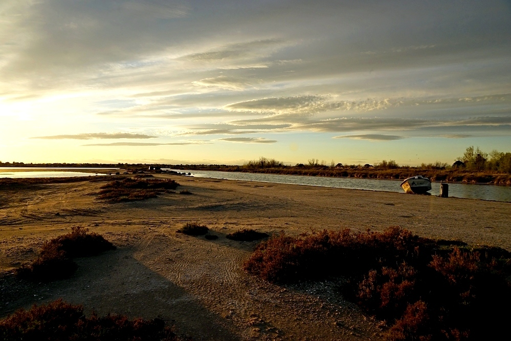 Am Etang de Thau