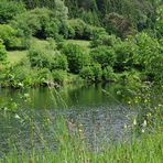 Am Eutersee