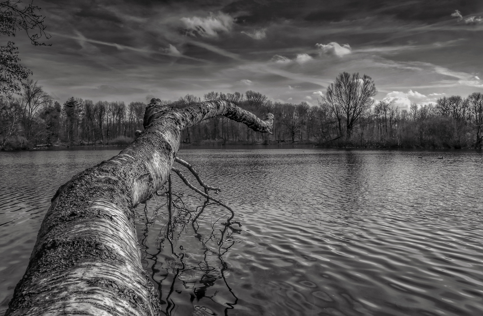 Am Ewaldsee