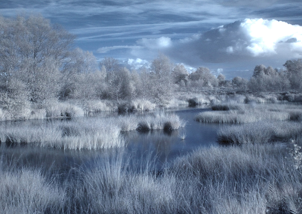 Am Ewigen Meer