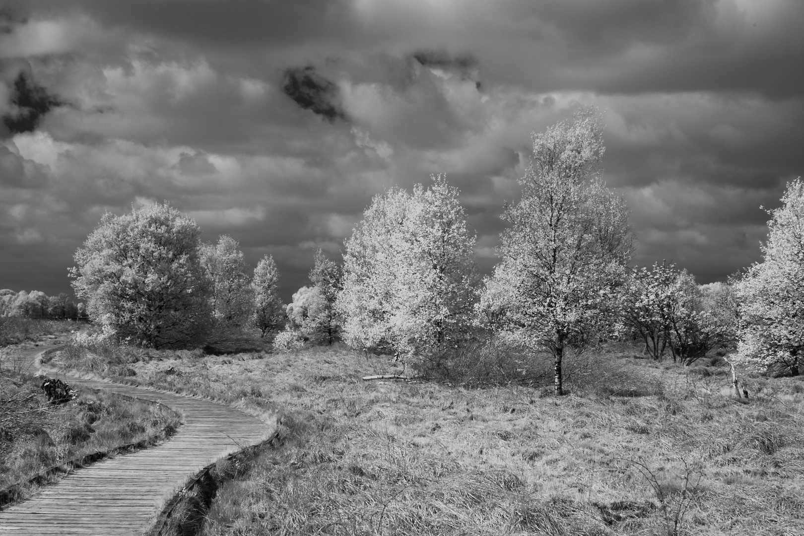 Am Ewigen Meer