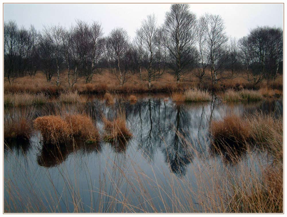 Am ewigen Meer im November