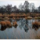 Am ewigen Meer im November