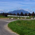 " Am Faaker See * Blick auf den Dobratsch 2167m Pano - Version "