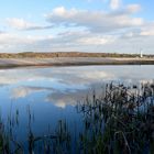 Am Falckensteiner Strand